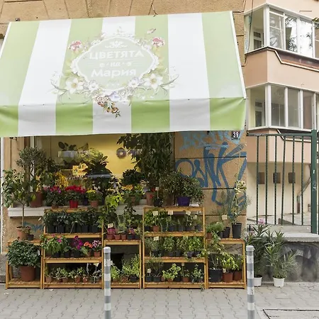City Center Malki 5 * Sofia